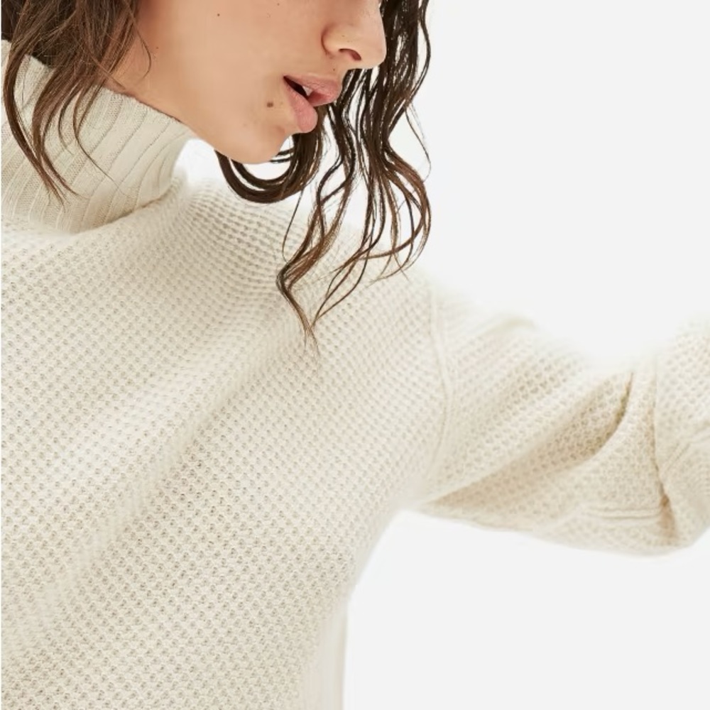 Everlane The Cashmere Stroopwafel Turtleneck